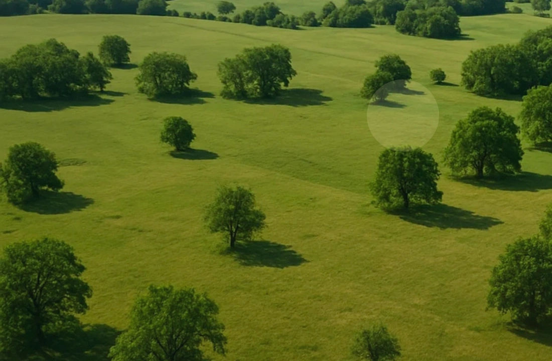 California land sale options and buyer review for California Land Buyers: How to Compare Direct Cash Offers