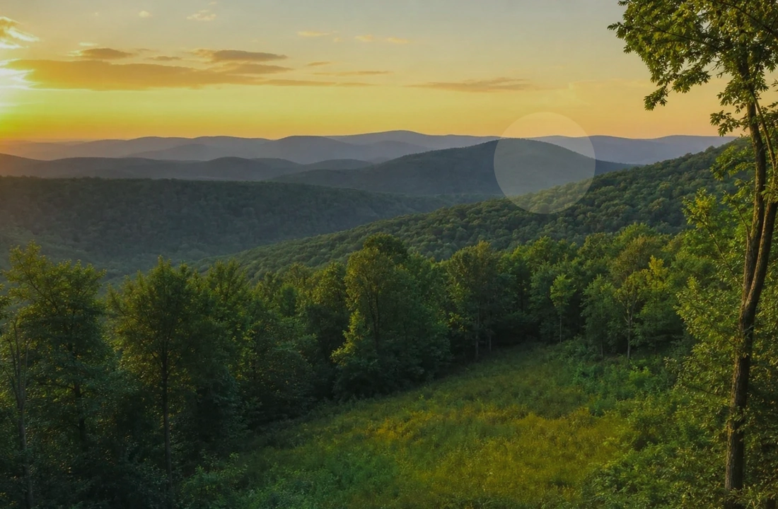 California land sale options and buyer review for How to Sell Land Fast in California